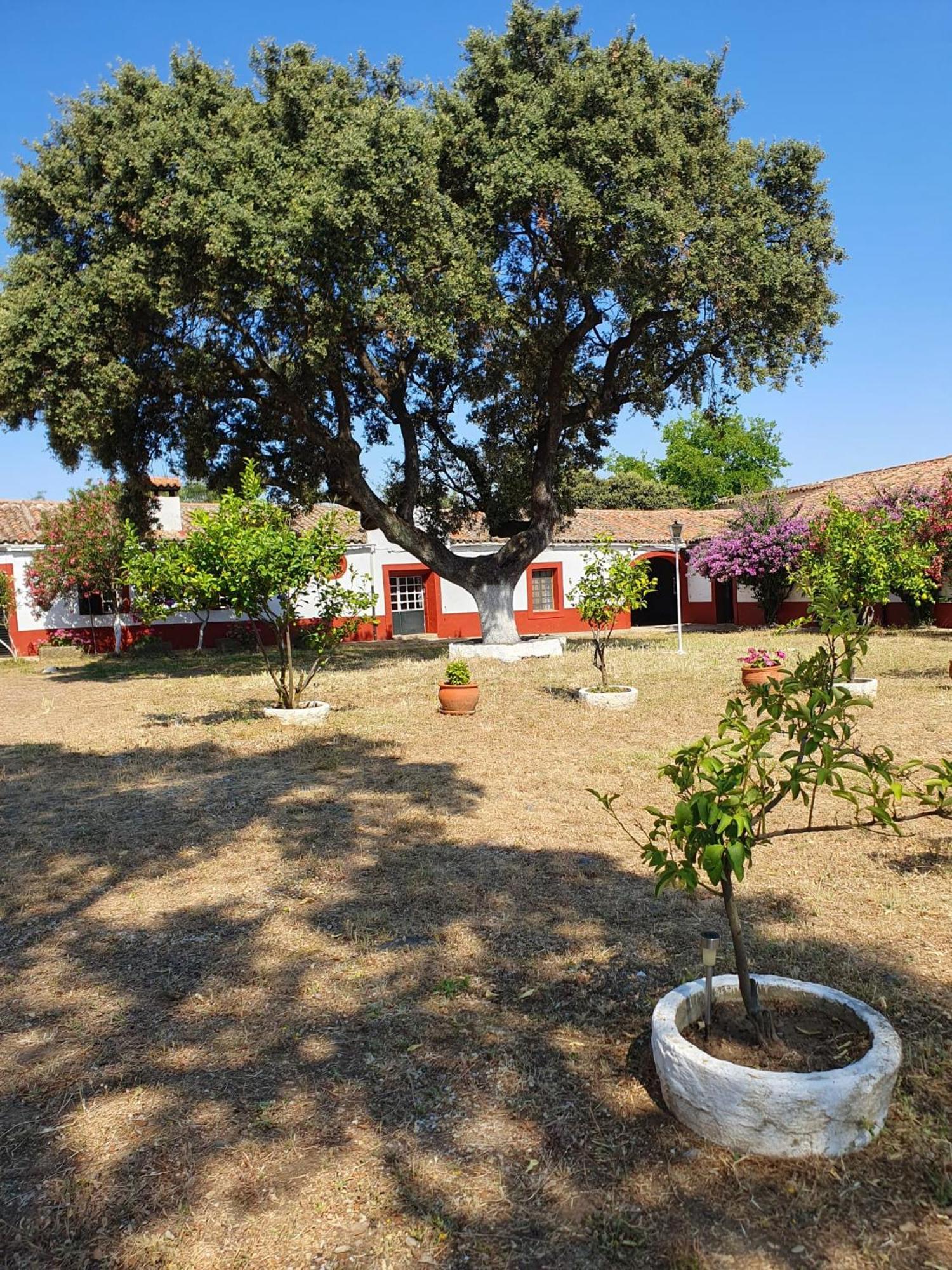 Hotel Rural El Vaqueril Navas del Madroño Exterior foto